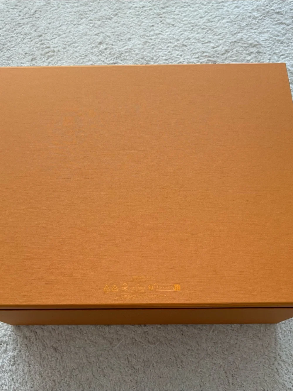 Louis Vuitton classic louis